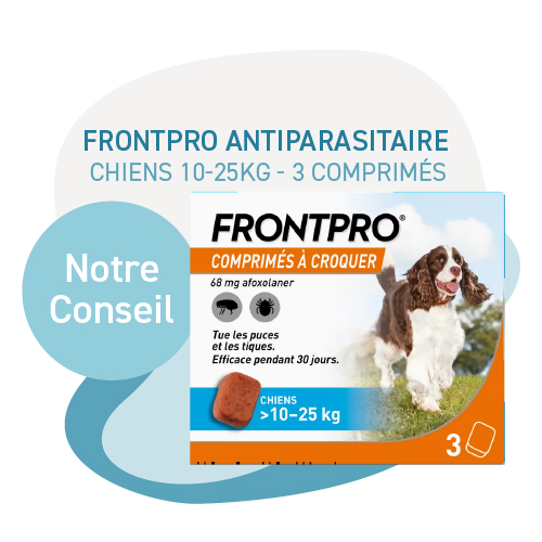 Frontpro